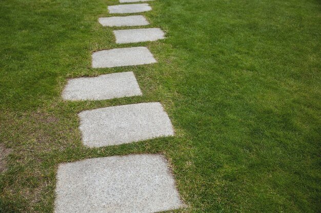 Turf Driveways