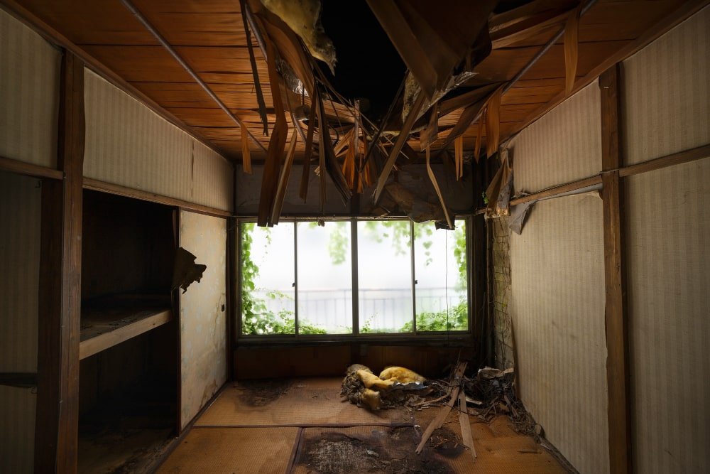 Crawl Spaces