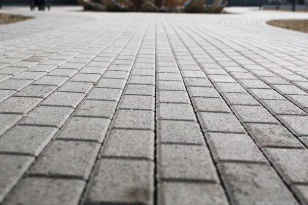 Pavement And Bricks